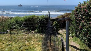 A coastal view with a kite flying over the ocean, a fence, and a bush with pink flowers.