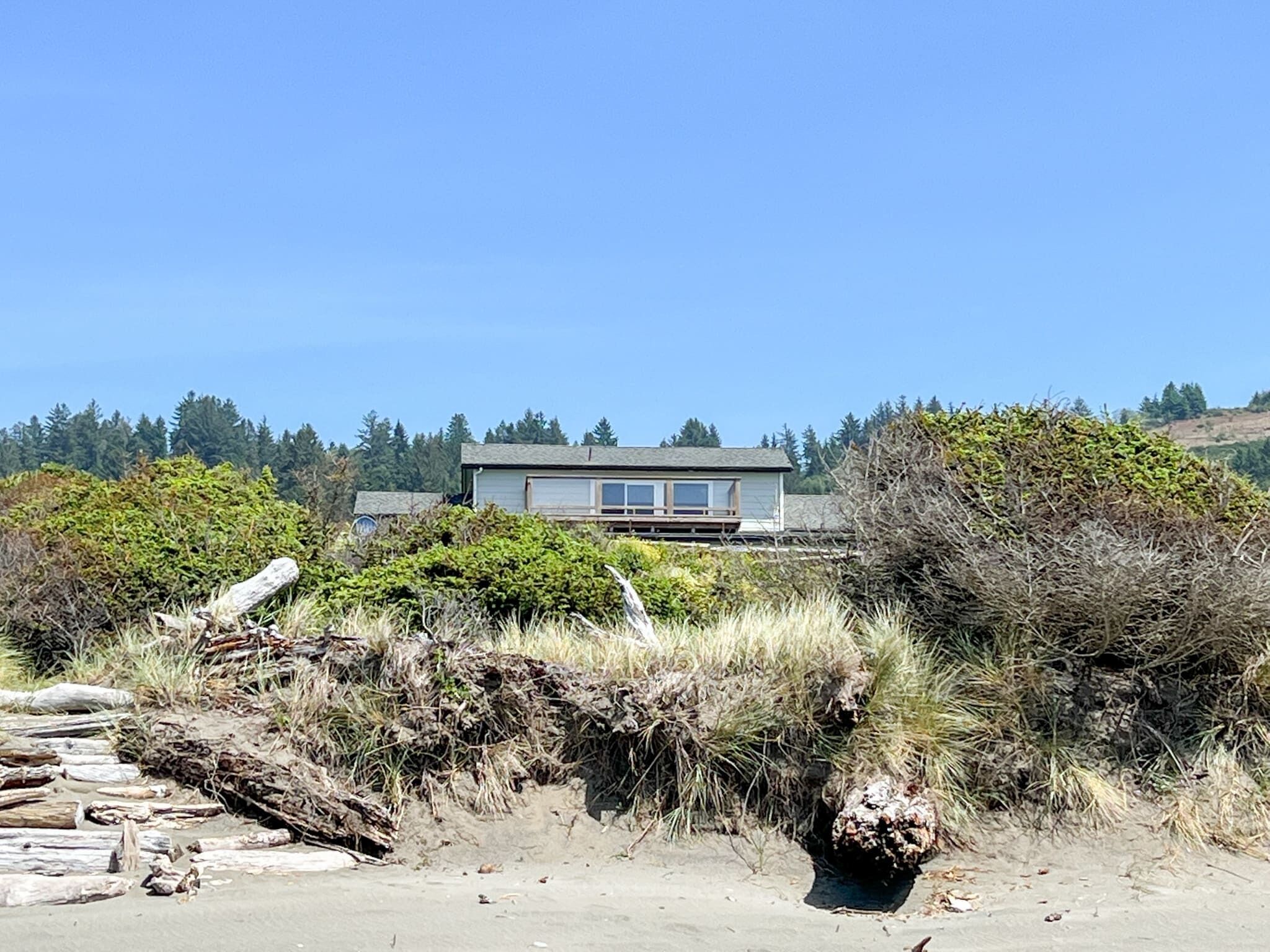 A coastal house with a sandy foreground, dense vegetation, and a clear blue sky.