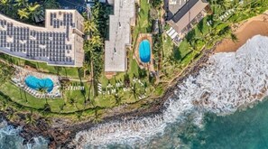Enjoy beach access and a serene poolside setting surrounded by lush greenery and palm trees.