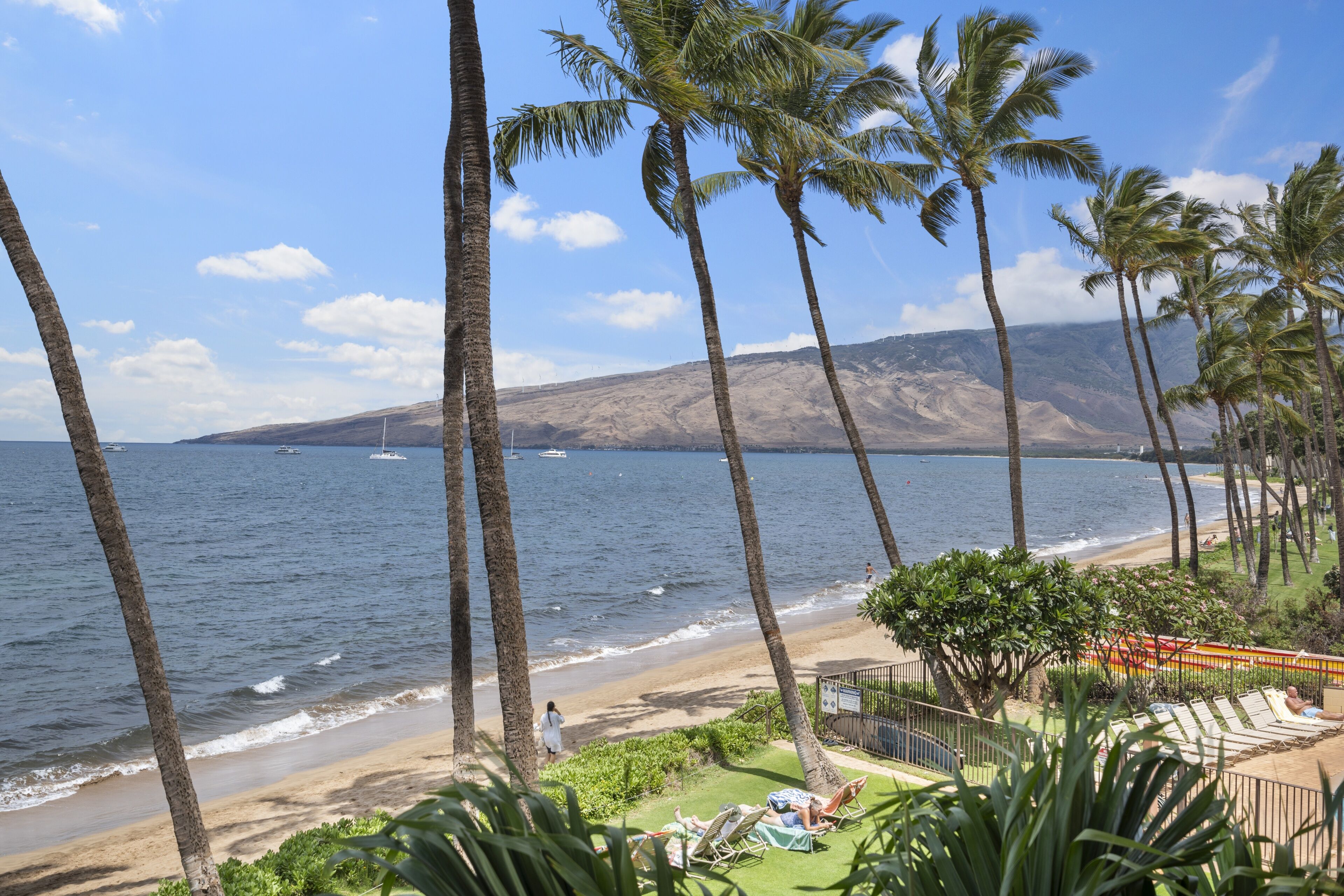 A beach with palm trees, a view of the ocean, and a mountainous backdrop.