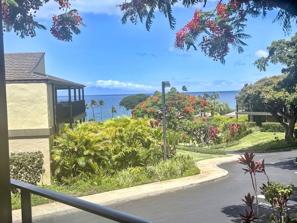 Condo, 1 Bedroom | Property grounds