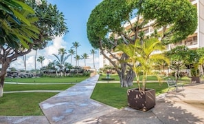 Condo, 1 Bedroom | Property grounds - Sugar Beach Resort, #414^ 1 Bedroom Condo by RedAwning (Kihei)