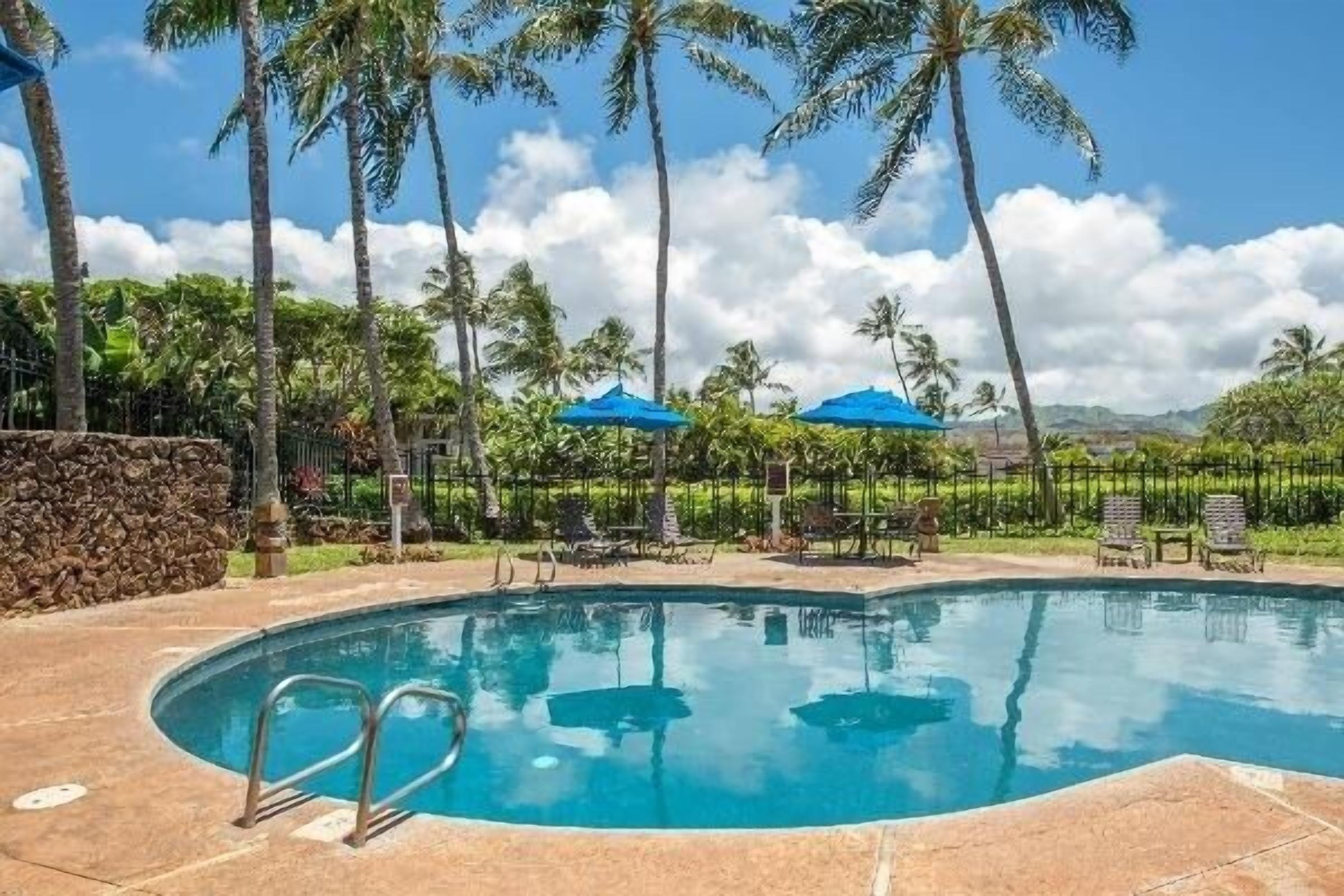Un área de piscina con agua azul cristalina, rodeada de palmeras y un muro de piedra.