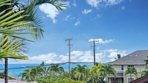 A residential area with a view of the ocean, palm trees, and utility poles.