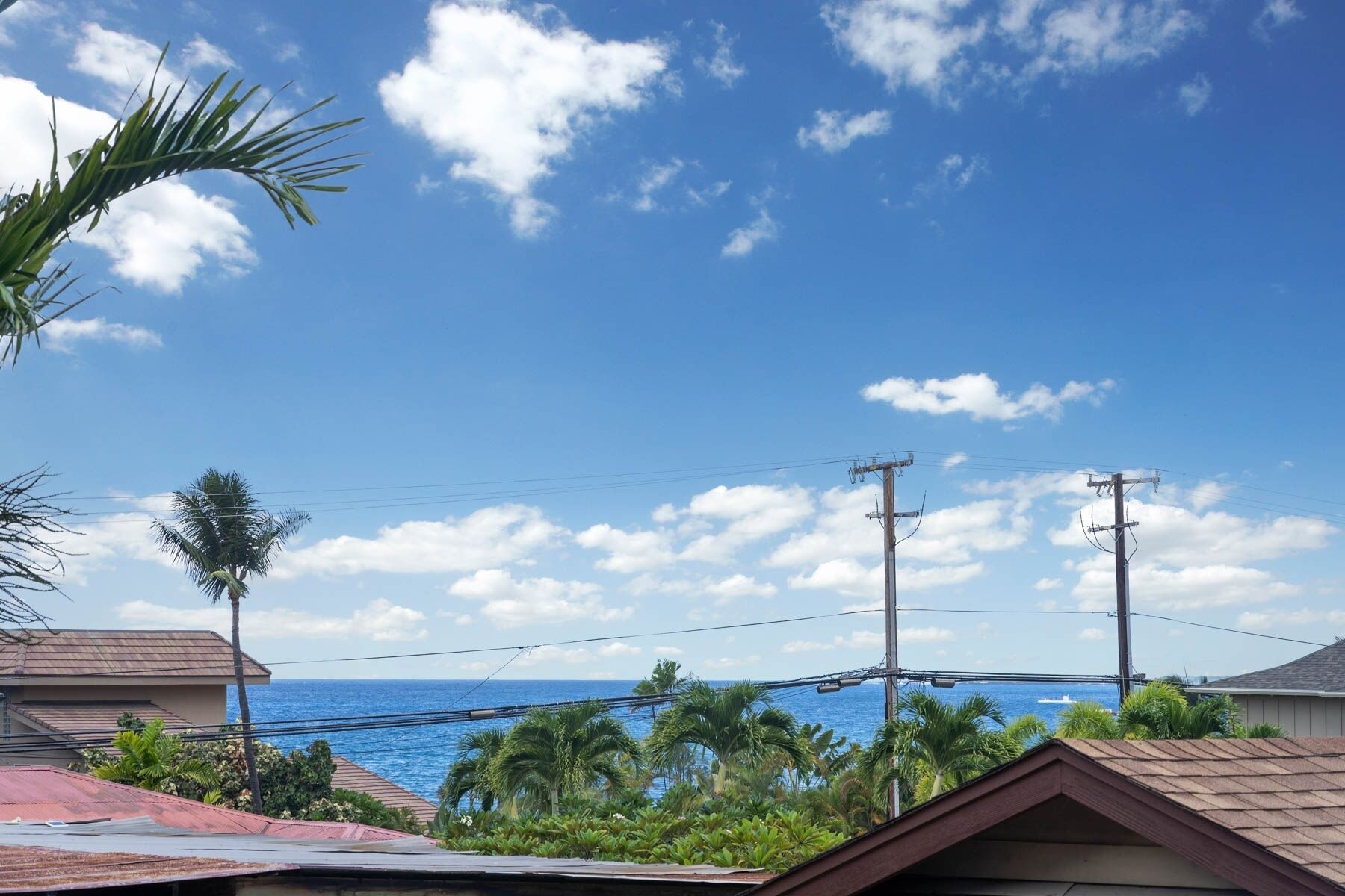 A coastal view with a clear sky, power lines, and palm trees.