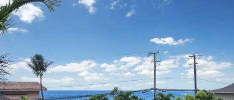 A coastal view with a clear sky, power lines, and palm trees.