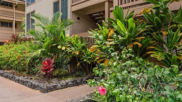 Condo, 2 Bedrooms | Property grounds