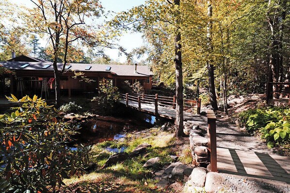 Terrain de l’hébergement 