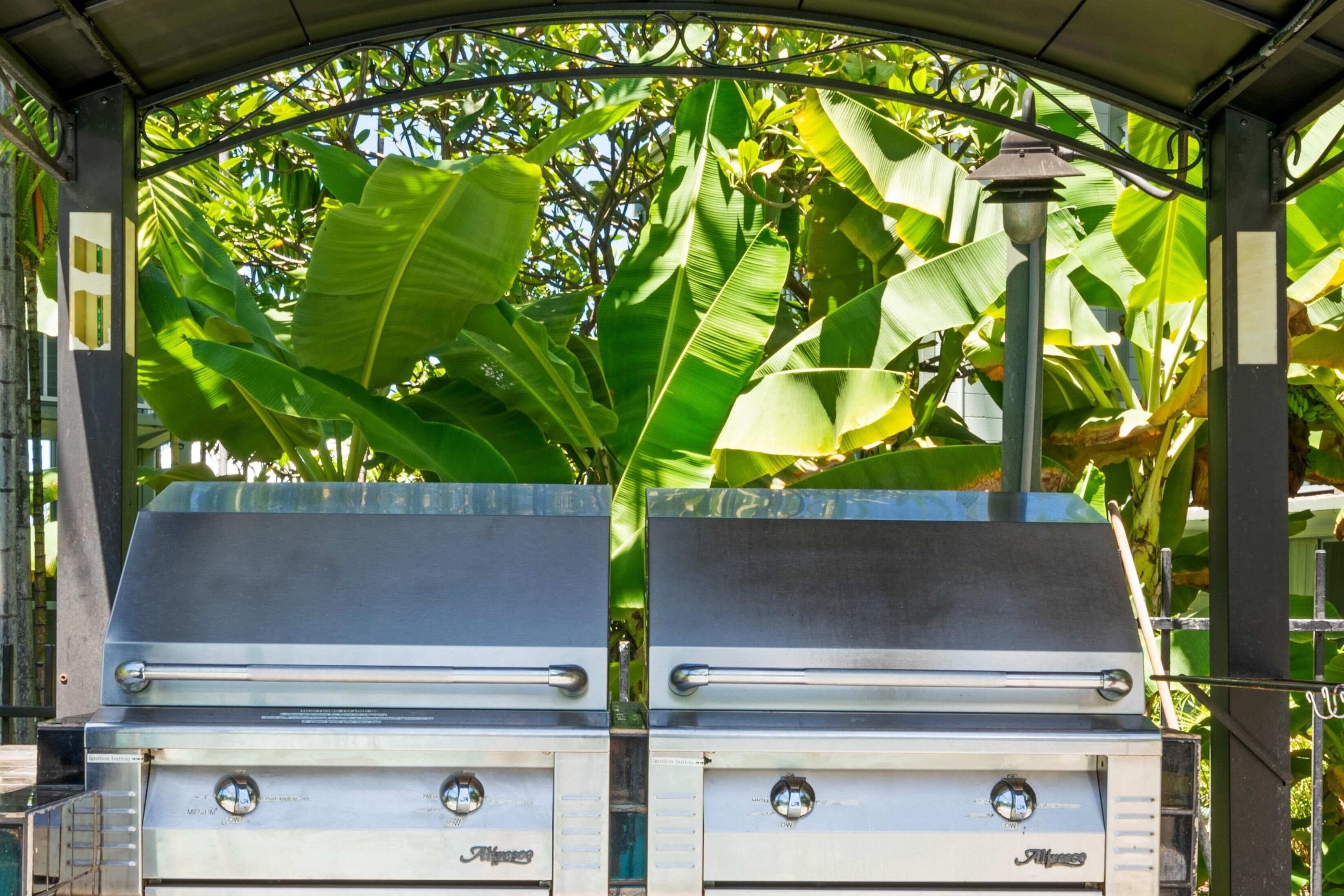 Two outdoor grills under a covered area with large green leaves in the background.