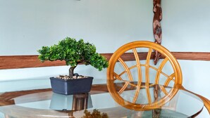 Uma mesa de vidro redonda com uma árvore bonsai em vaso preto, uma cadeira de madeira com encosto trançado, e um ornamento de parede em madeira.