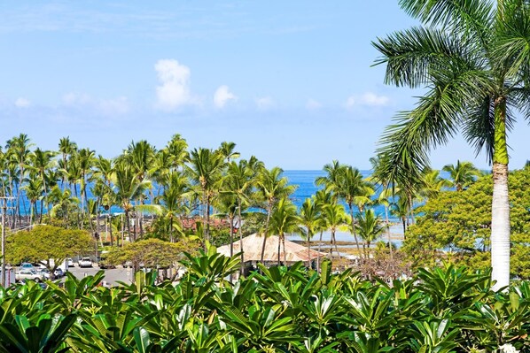Un resort tropical con palmeras, una playa y vista al océano.