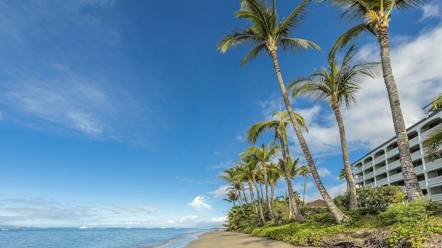 Lahaina Shores #218 Condo