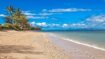 Condo, 2 Bedrooms | Beach | On the beach