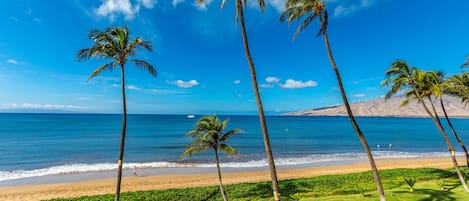 Appart'hôtel, 1 chambre | Plage