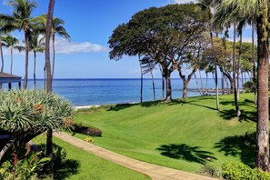 Une pelouse bien entretenue, avec un chemin menant à la plage, entourée de palmiers et d’autres plantes.