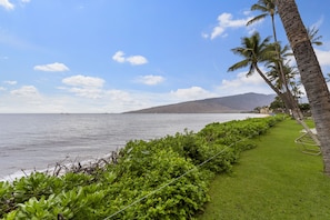 Condo, 2 Bedrooms | Beach | On the beach