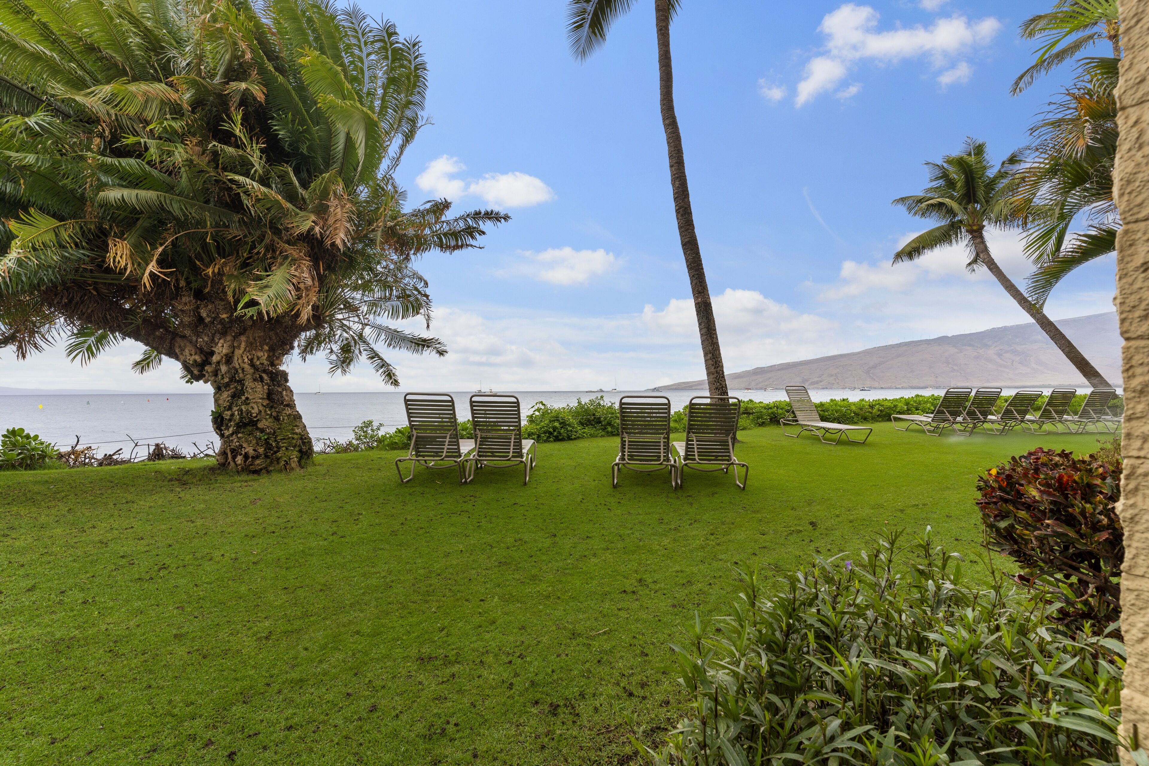 A grassy area with two metal chairs facing a body of water, surrounded by palm trees and a mountain in the distance.