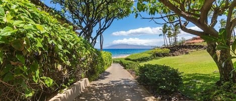 Condo, 2 Bedrooms | Property grounds