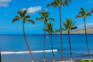 Appart'hôtel, 2 chambres | Plage