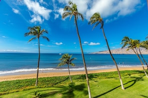 コンドミニアム 2 ベッドルーム | ビーチ