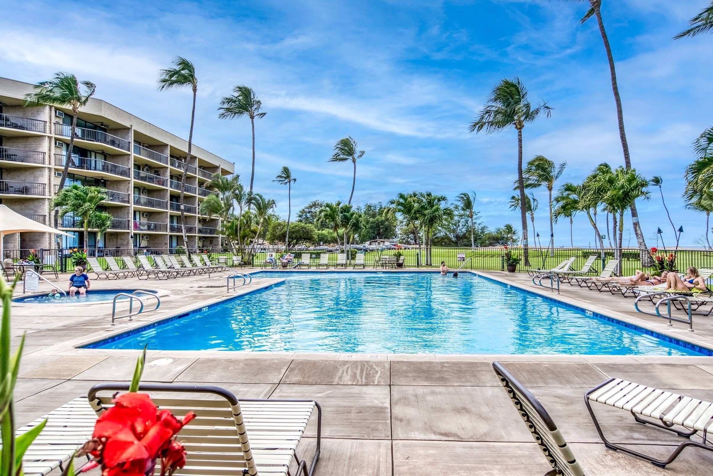 شقة - غرفة نوم واحدة | حمام سباحة