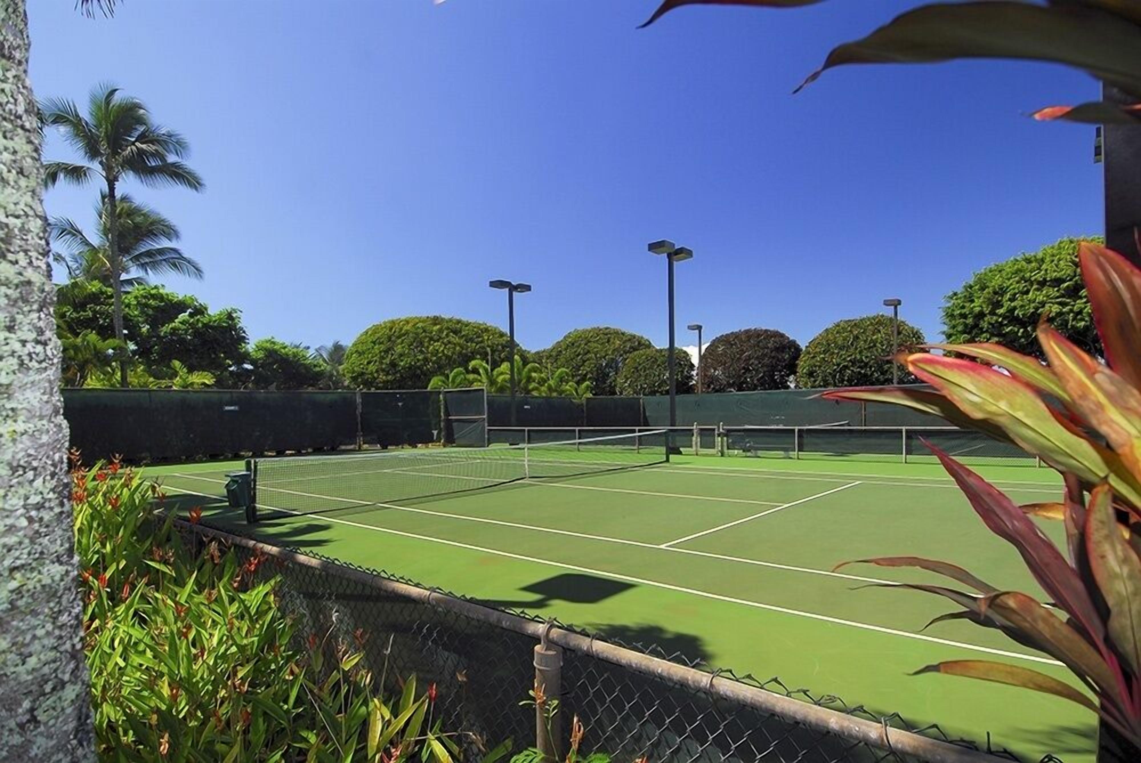 A tennis court with a chain-link fence, surrounded by greenery and palm trees.