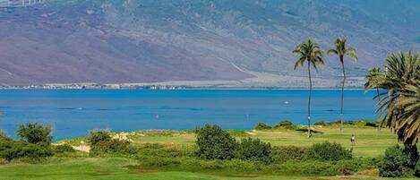 Eine Küstenlandschaft mit freiem Blick auf das Meer, einem Gebirgszug und einem Golfplatz mit Palmen.