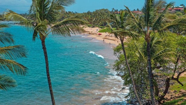 Ein Strand mit Palmen, klarem türkisblauem Wasser und einer entfernten Ansicht von Häusern.
