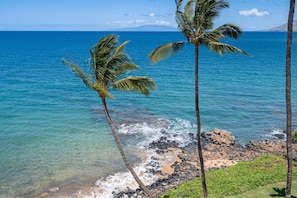 Condo, 2 quartos | Praia