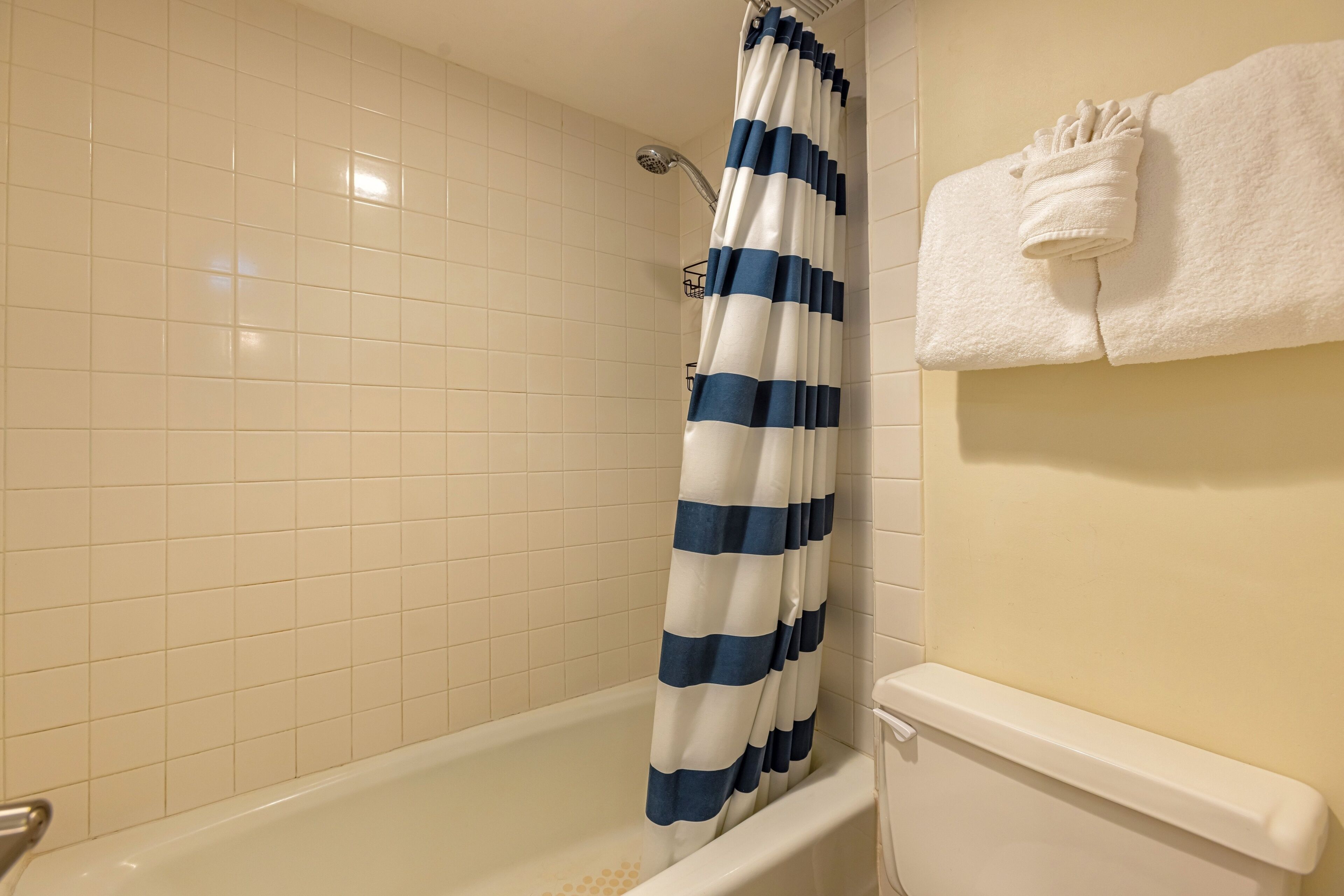 Une salle de bain avec une baignoire, un rideau de douche et un porte-serviettes.