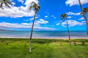 A beach with palm trees, a clear sky, and the ocean. - Sugar Beach Resort, #326 1 Bedroom Condo by RedAwning (Kihei)