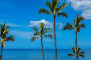 Una playa con altas palmeras y un cielo azul despejado.