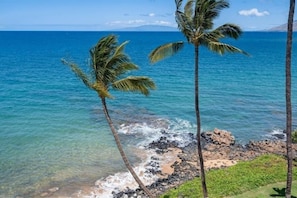 A coastal view with clear blue water, rocky shoreline, and palm trees.