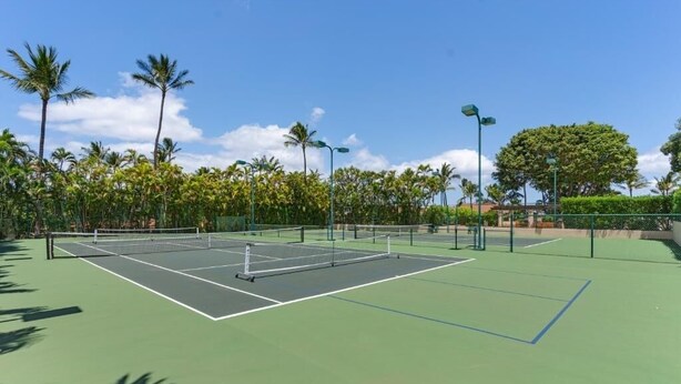 Ein Tennisplatz im Freien mit Netz, umgeben von Palmen und blauem Himmel.