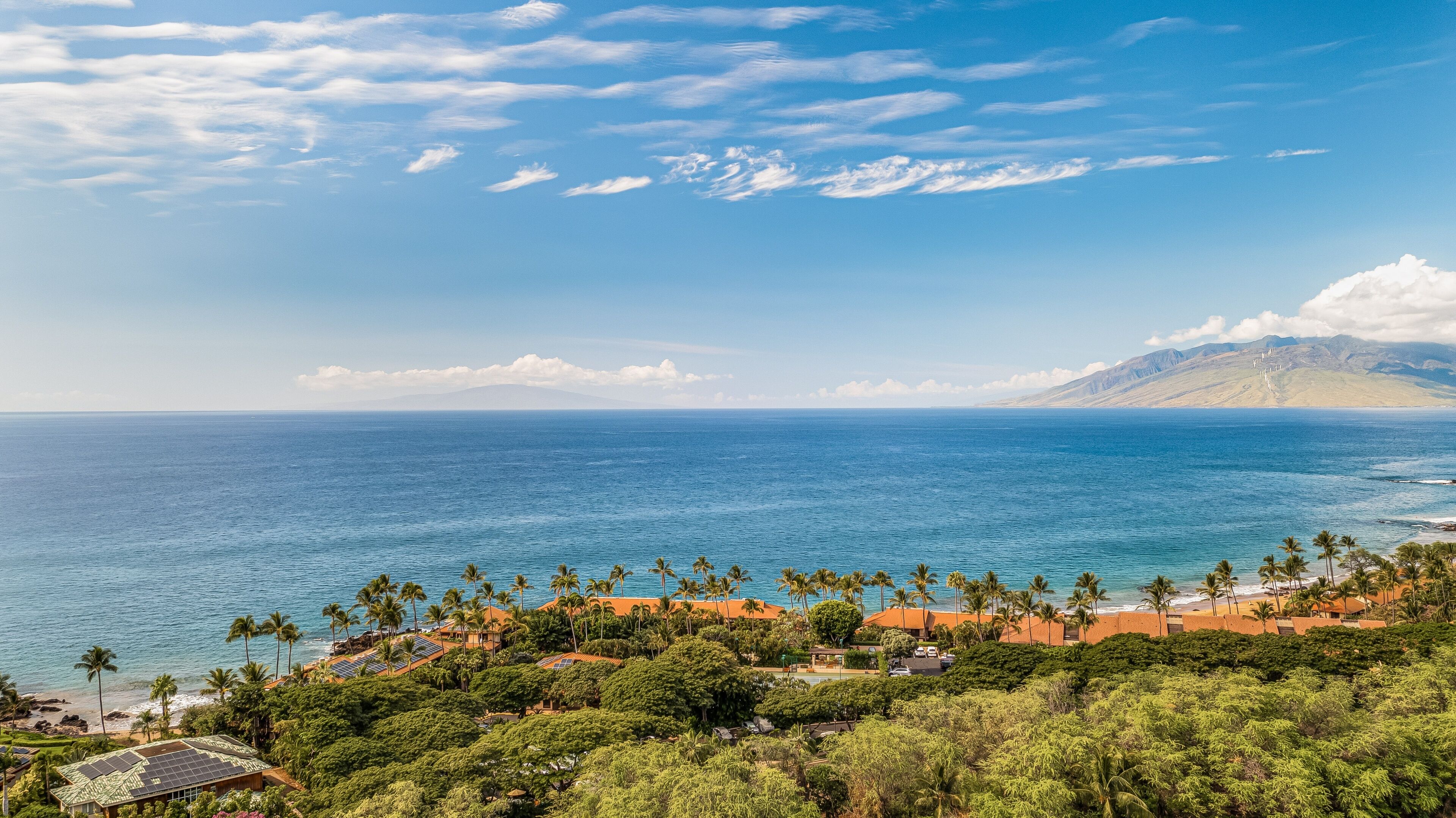 A coastal view with a mountain in the distance, palm trees, and a clear sky.