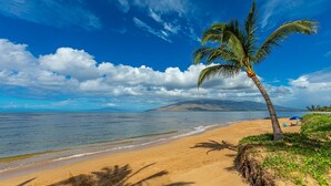 Une plage avec un palmier, un ciel dégagé et une mer calme.