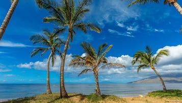 House, 4 Bedrooms | Beach | On the beach