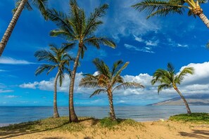 獨棟房屋, 4 間臥室 | 海灘 |   位於海灘上