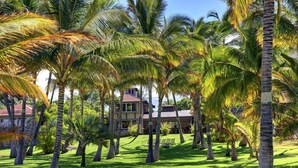 Un complexe hôtelier tropical doté de palmiers, d’un bâtiment à deux étages et d’une pelouse bien entretenue.