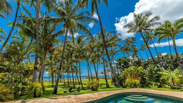 Une piscine avec vue sur les palmiers et un ciel dégagé.