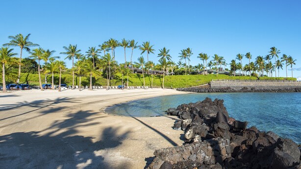 A beach with palm trees, a rocky shoreline, and a clear blue sky. - Big Island Fairways At Mauna Lani 1705 3 Bedroom Townhouse (Kamuela)