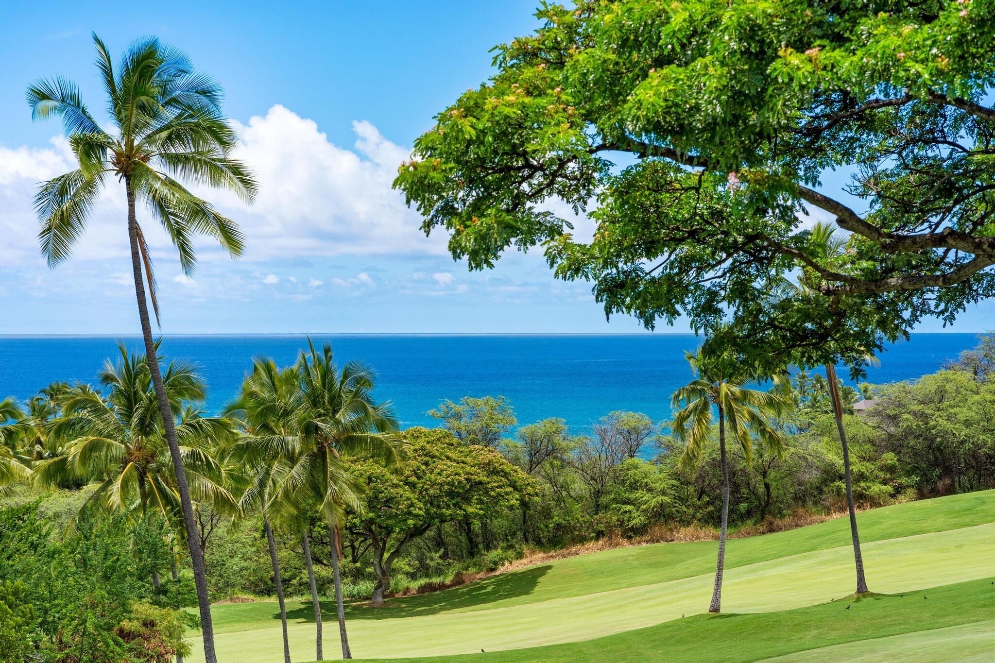 Condo, 1 phòng ngủ | Golf