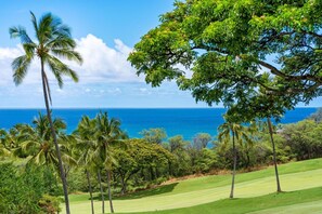 Condo, 1 quarto | Golfe