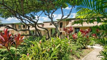 Kondominium, 1 kamar tidur | Halaman properti