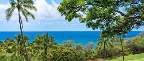 Kondominium, 1 kamar tidur | Lapangan olahraga