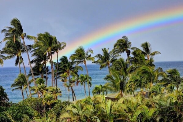 Condo, 1 Bedroom | Beach | Beach nearby - Wailea Ekahi, #22d 1 Bedroom Condo by RedAwning (Kihei)