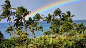 A tropical beach with palm trees and a visible rainbow. - Wailea Ekahi, #22d 1 Bedroom Condo by RedAwning (Kihei)