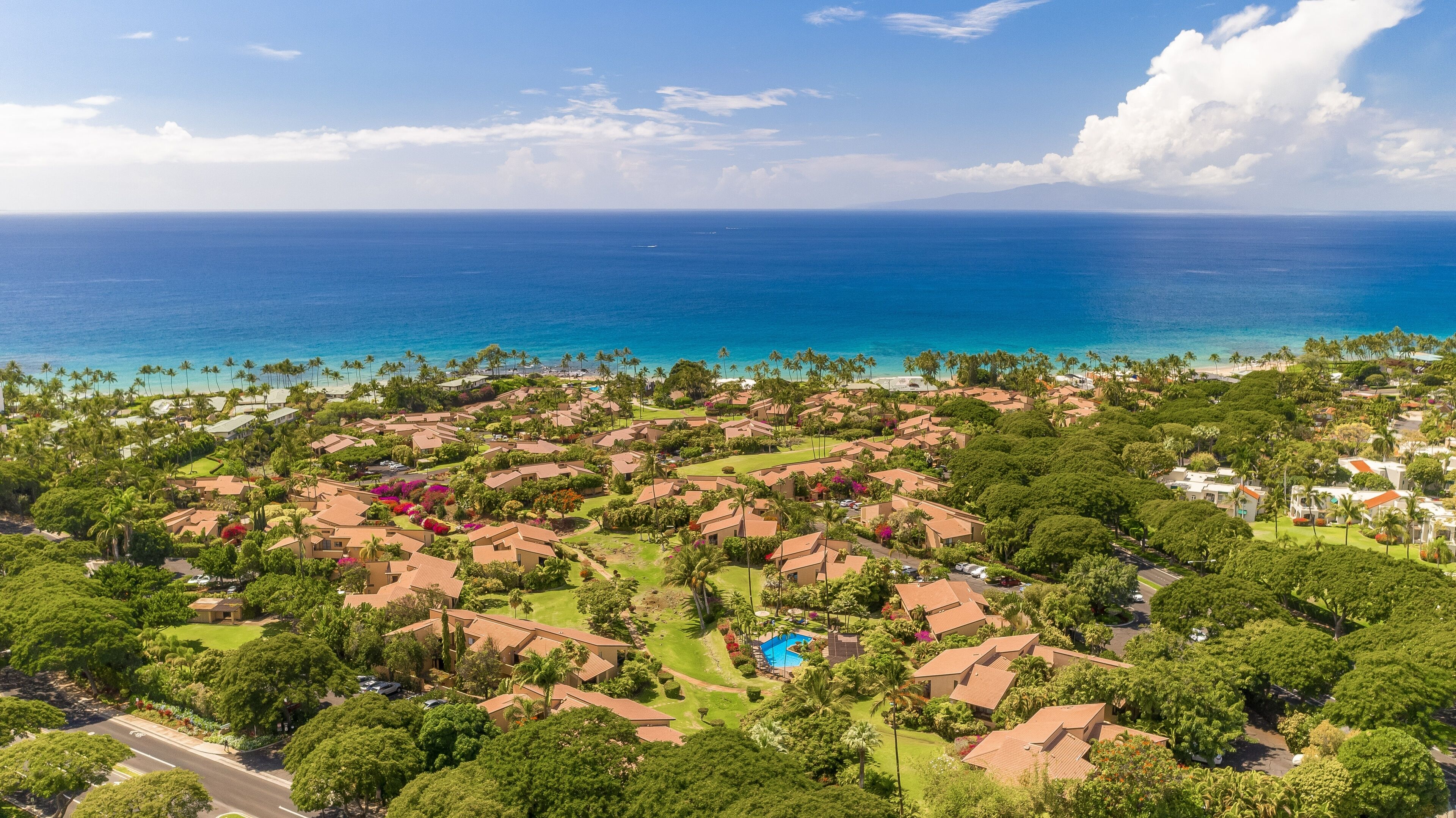 An aerial view of a coastal residential area with houses, a swimming pool, and a clear view of the ocean.