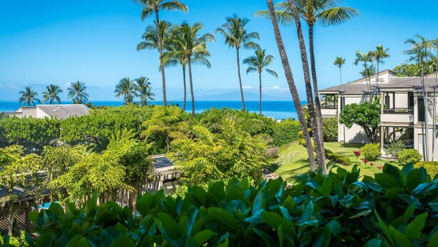 A tropical resort with palm trees, a view of the ocean, and a building with a balcony.