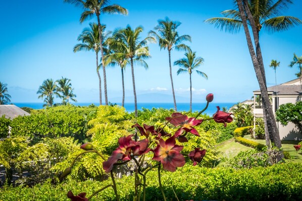 Condo, 2 Bedrooms | Property grounds